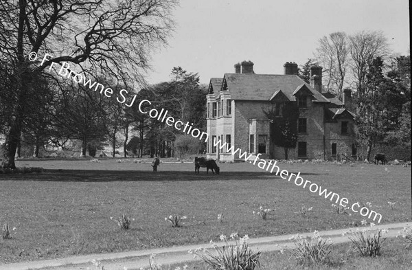 VIEWS OF HOUSE IN SPRINGTIME DAFFODILS